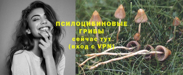 стафф Армянск