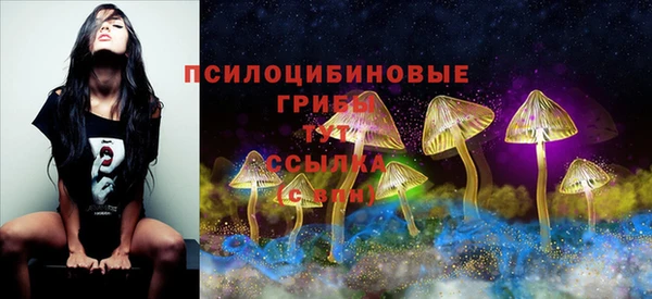 стафф Армянск