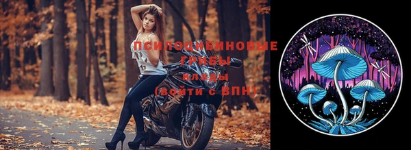 прущая мука Каменка