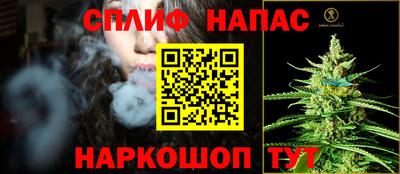 СК Пугачёв