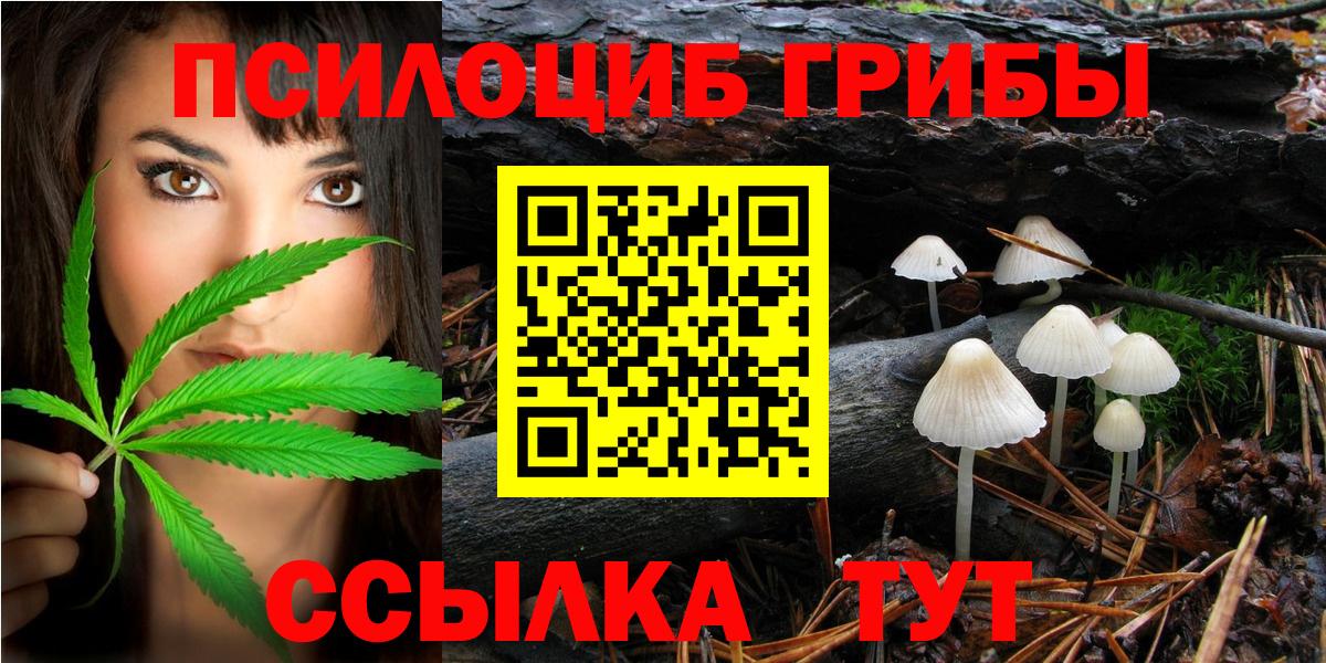 цена   Вход с VPN  Якутск  Галлюциногенные грибы MAGIC MUSHROOMS 