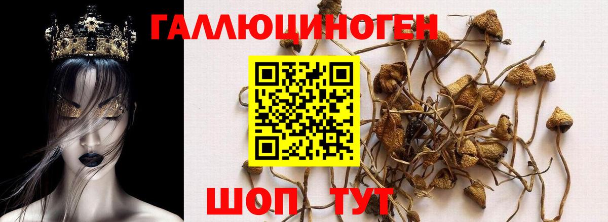 Меф МЯУ МЯУ   Экстази  Якутск  Вход с VPN  Бошки Шишки  ГАШИШ  Метадон  КОКАИН  НБОМе 