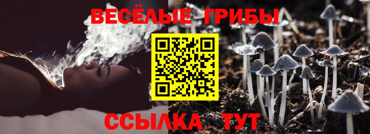 Галлюциногенные грибы прущие грибы Якутск